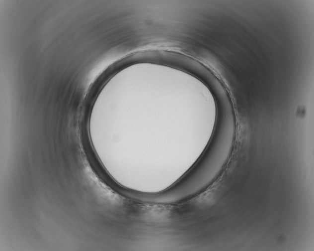 X0000110770952200907131231