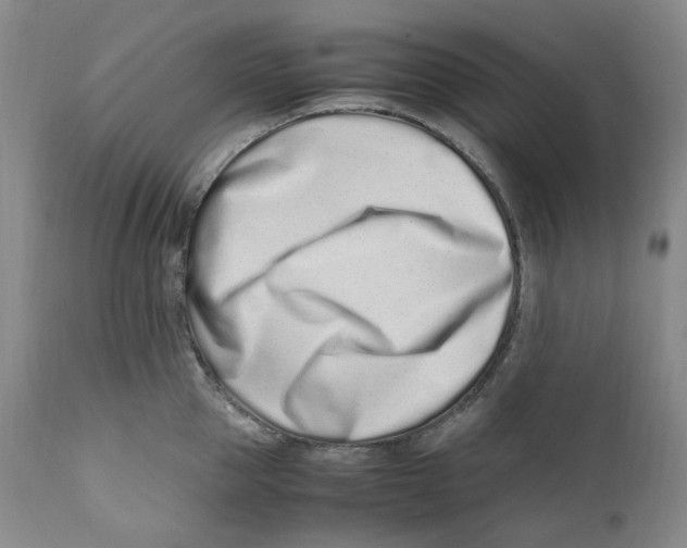 X0000110770953200907131231