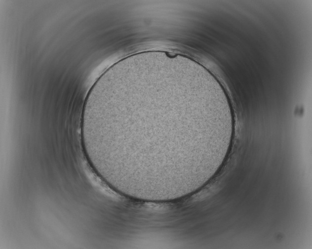 X0000110770954200907131231