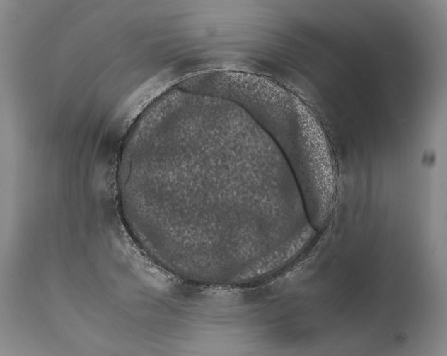 X0000110770977200907131230