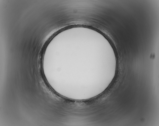 X0000110770983200907131230