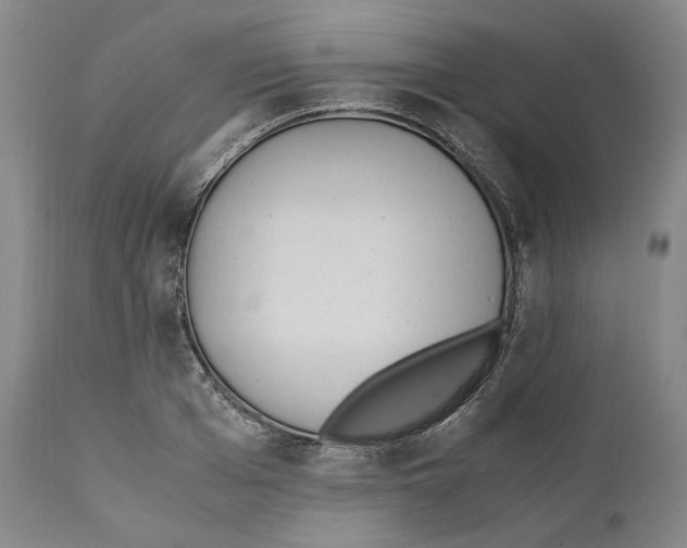 X0000110770985200907131230