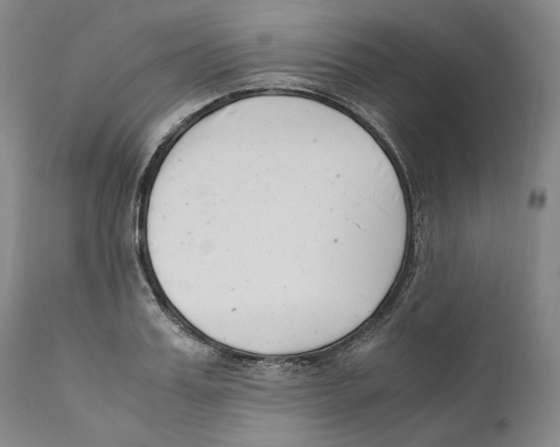 X0000110770987200907131230