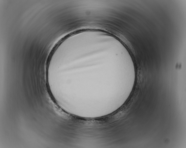 X0000110770988200907131230