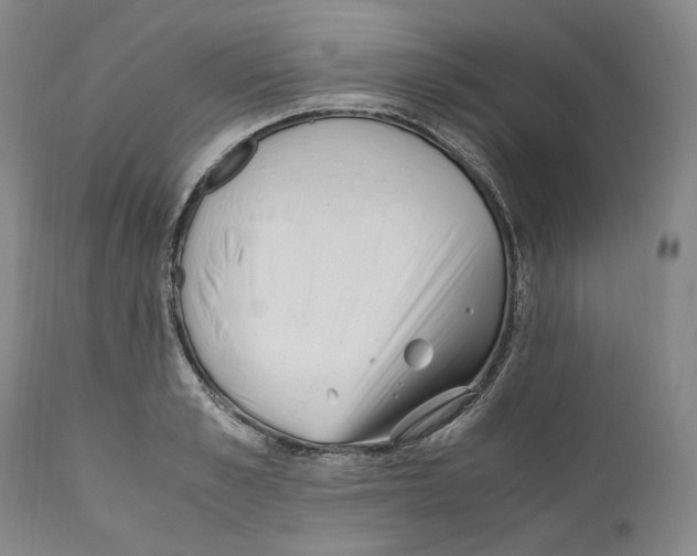 X0000110770989200907131230