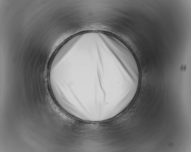 X0000110770990200907131230