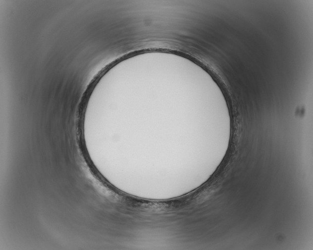 X0000110770991200907131230