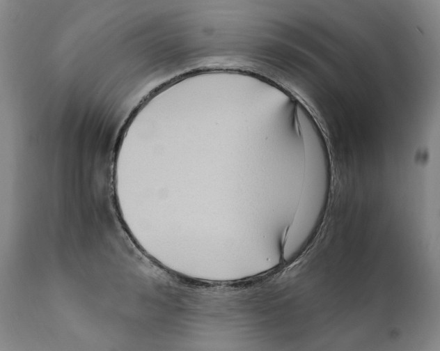 X0000110770992200907131230