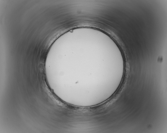 X0000110770993200907131229