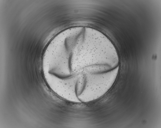 X0000110770994200907131229