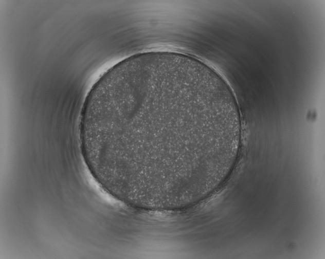 X0000110770995200907131229