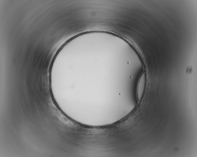 X0000110770996200907131229