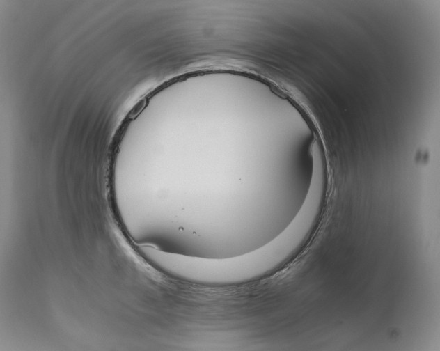 X0000110770997200907131229