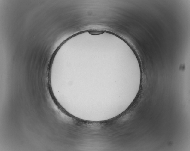 X0000110770999200907131229