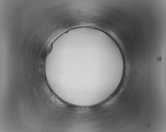 X0000110771001200907131229