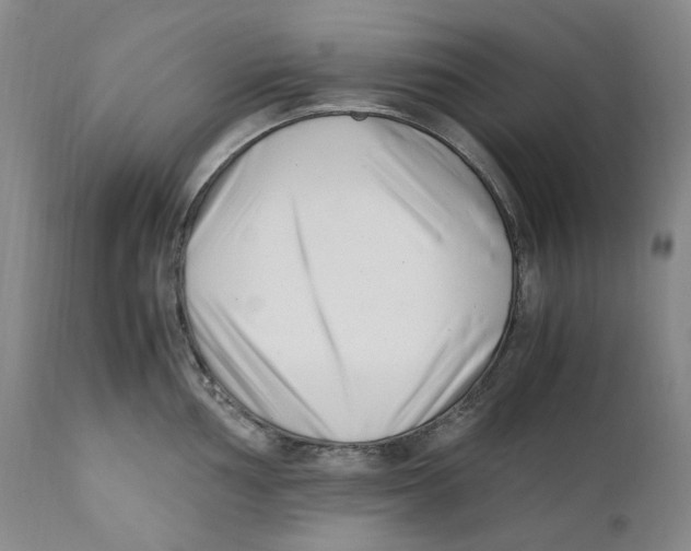 X0000110771002200907131229