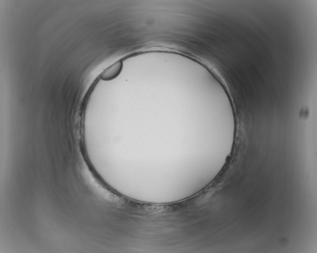 X0000110771003200907131229