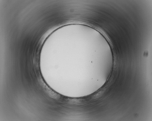 X0000110771004200907131229