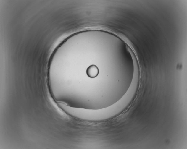 X0000110771005200907131229