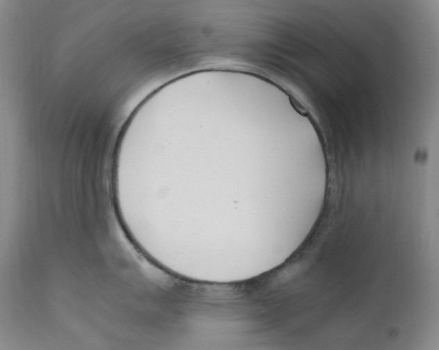 X0000110771007200907131229