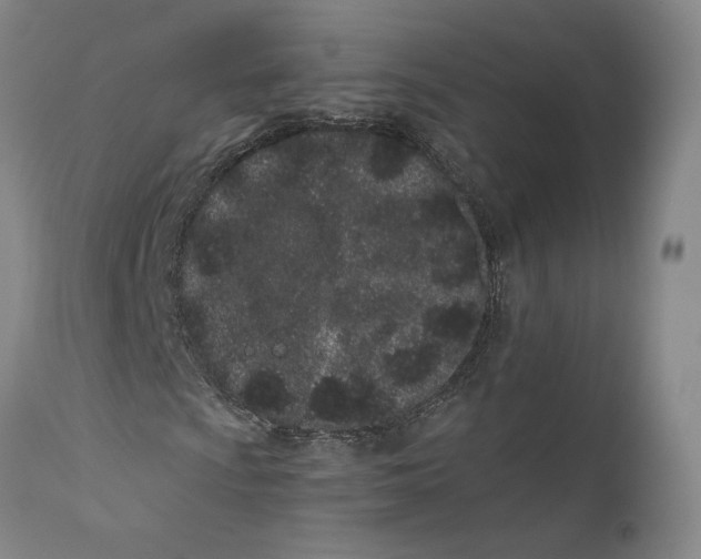 X0000110771009200907131229