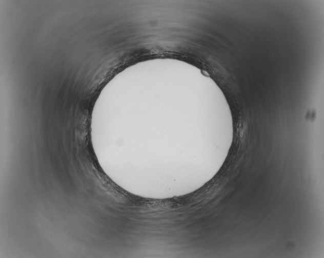 X0000110771012200907131229