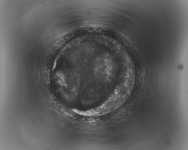 X0000110771013200907131229