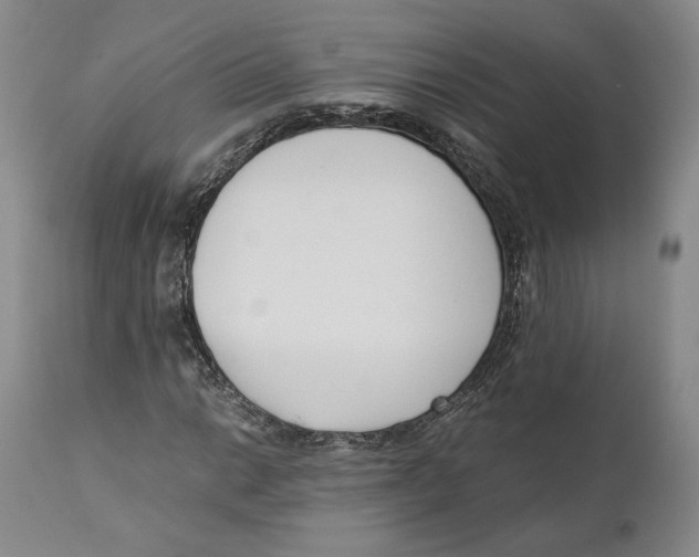 X0000110771014200907131229