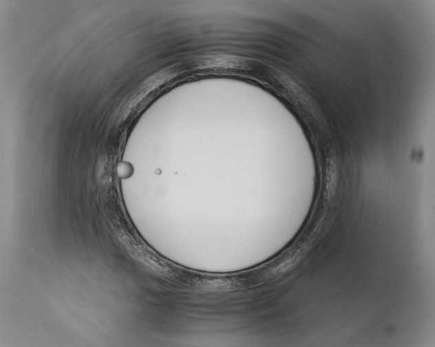 X0000110771017200907131229