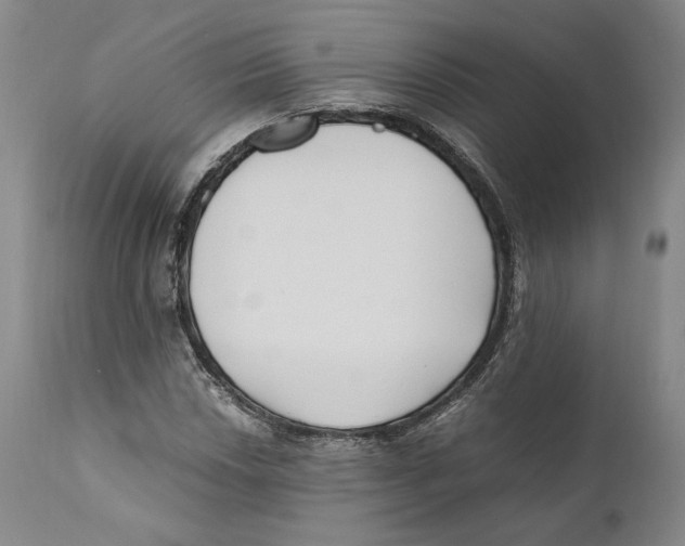 X0000110771018200907131229