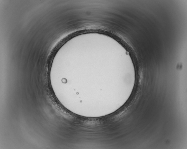 X0000110771021200907131229