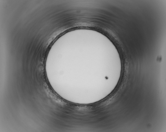 X0000110771025200907131229