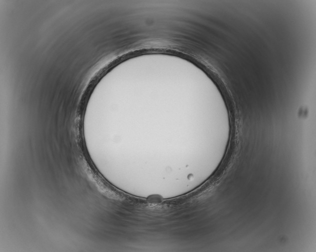 X0000110771029200907131229