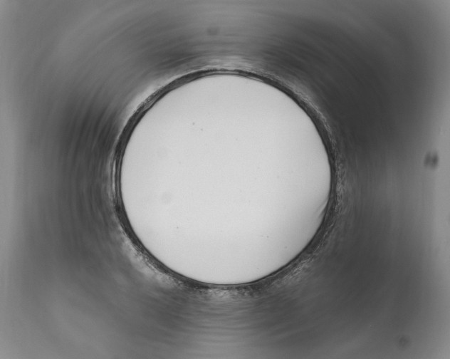 X0000110771032200907131229