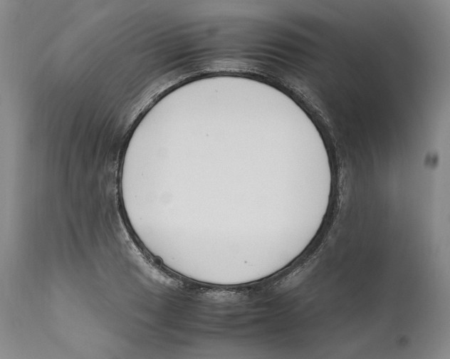 X0000110771033200907131229