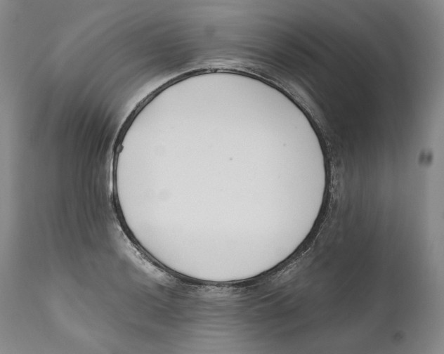 X0000110771036200907131229