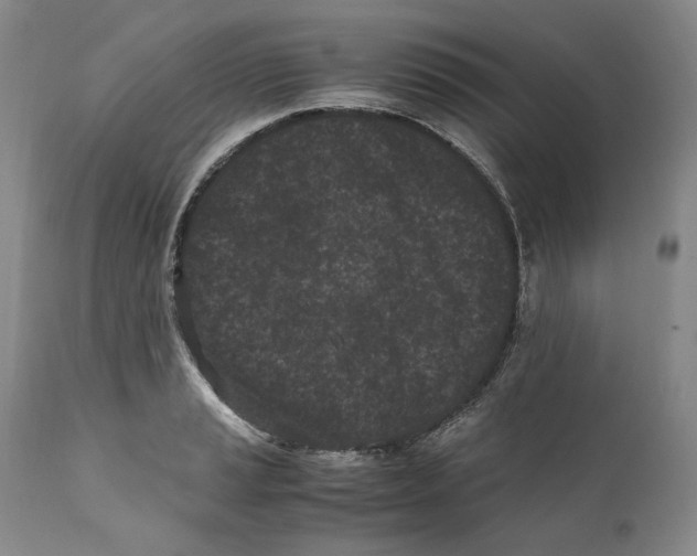 X0000110771037200907131229