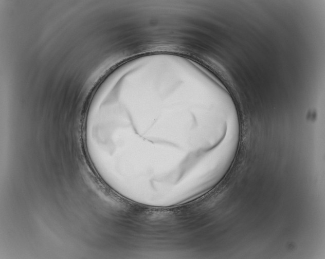 X0000110771043200907131229