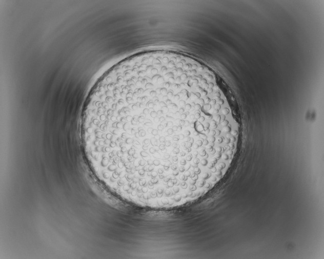 X0000110771044200907131229