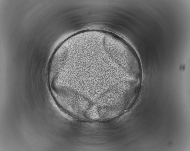 X0000110771045200907131229