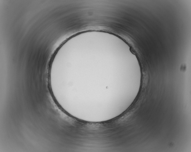 X0000110771046200907131229