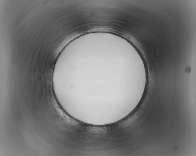 X0000110771049200907131229