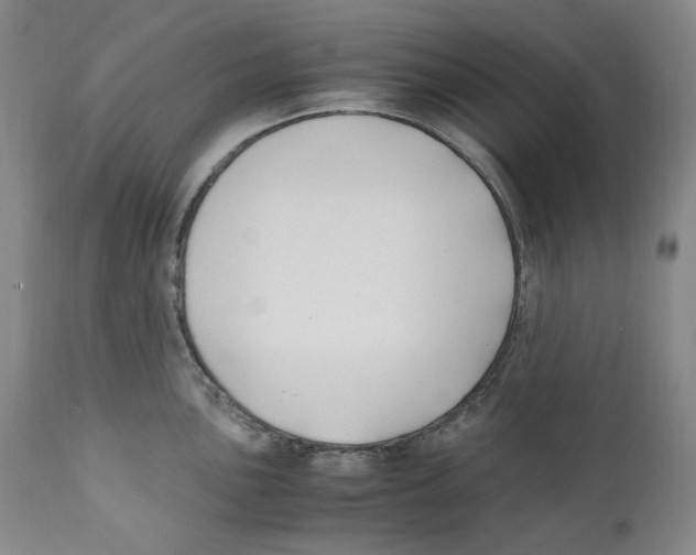 X0000110771051200907131229