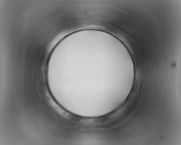 X0000110771054200907131229