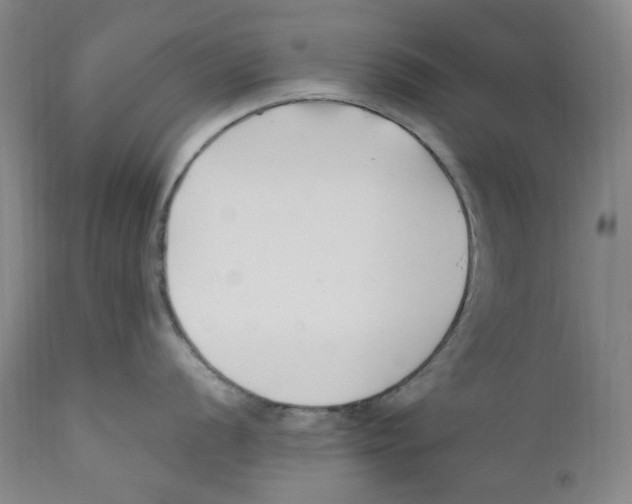 X0000110771056200907131229