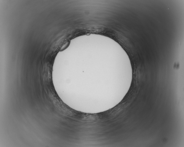 X0000110771058200907131229