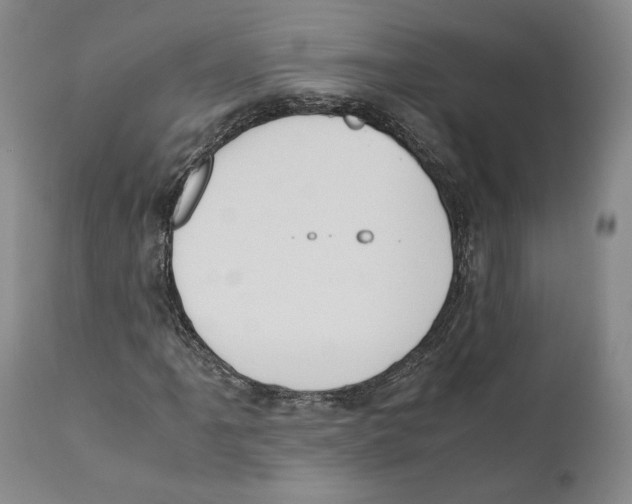 X0000110771061200907131229