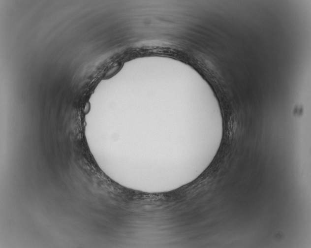 X0000110771062200907131229