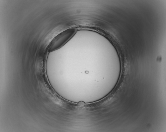 X0000110771065200907131229