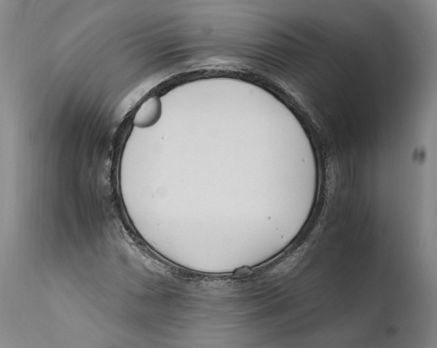 X0000110771066200907131229